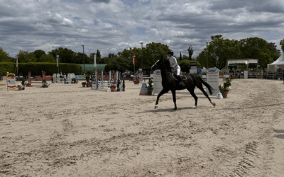 Quand la passion nous rassemble : notre présence au concours hippique de Crête